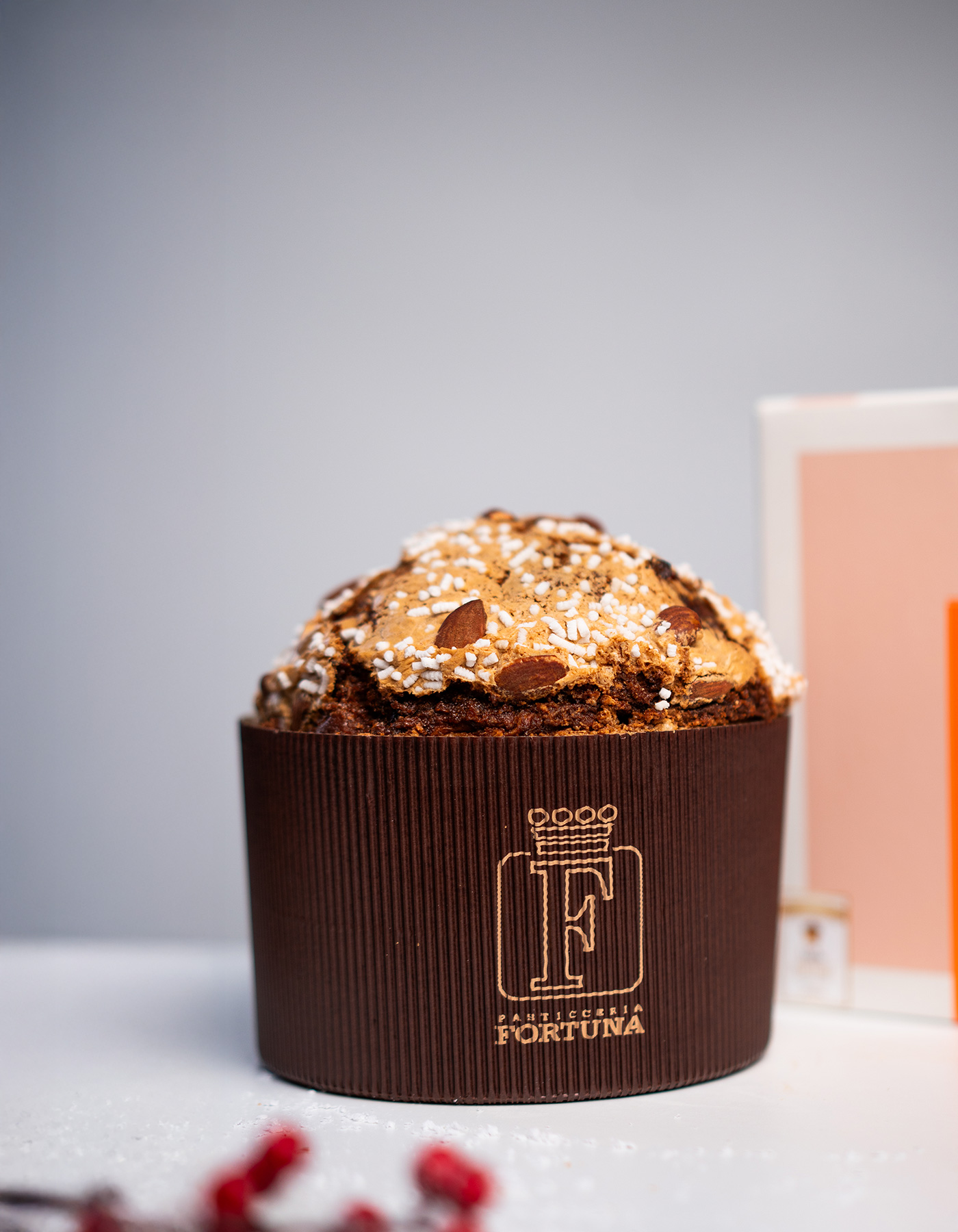 Panettone Artigianale Mediterraneo con Olio Evo Panettone Artigianale Mediterraneo con Olio Evo