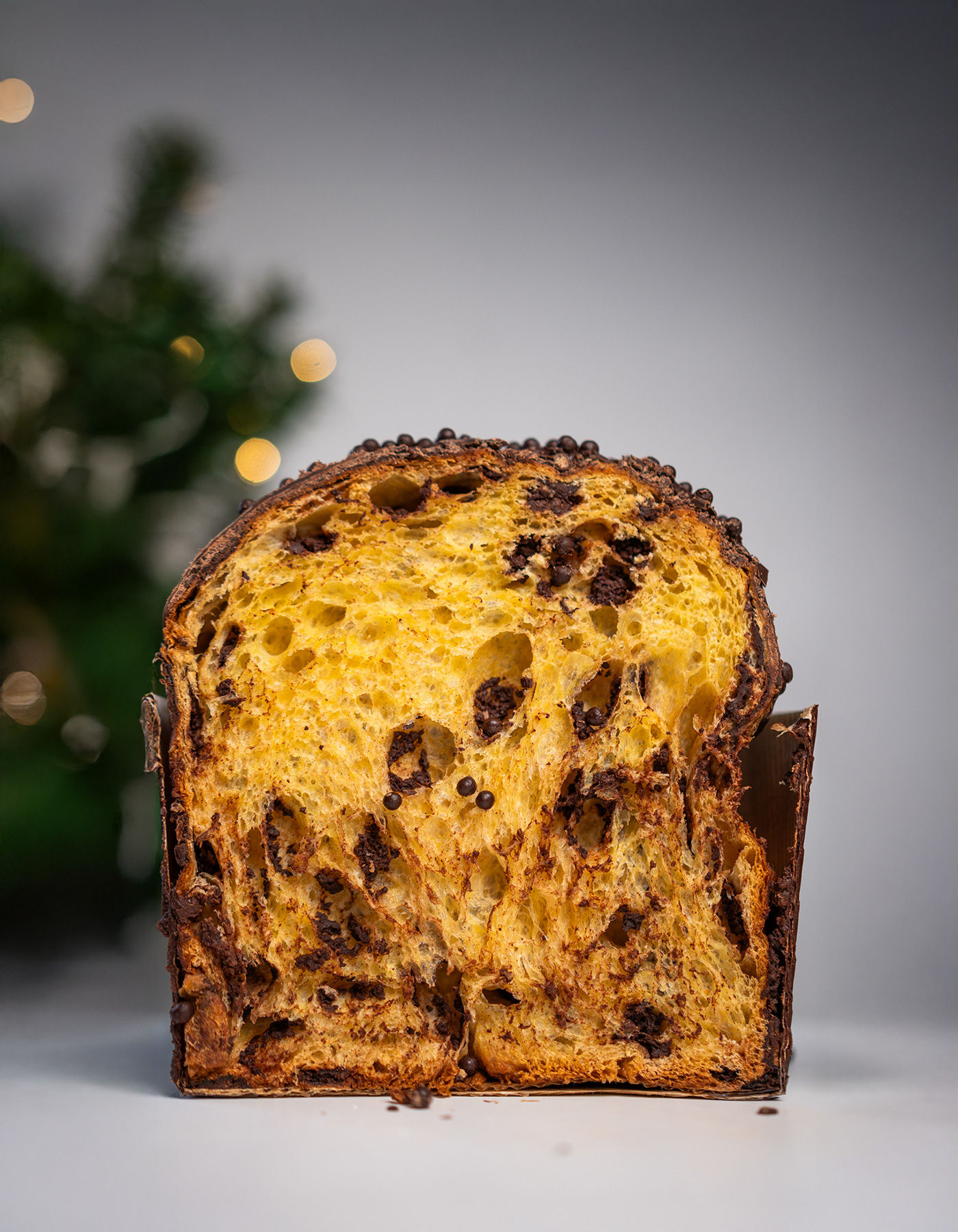 panettone artigianale cioccolato - pasticceria fortuna panettone artigianale cioccolato - pasticceria fortuna